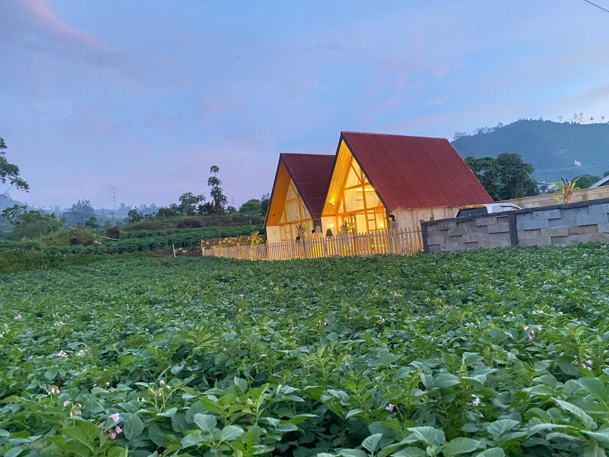 Martos Villa Dieng Diyeng Экстерьер фото